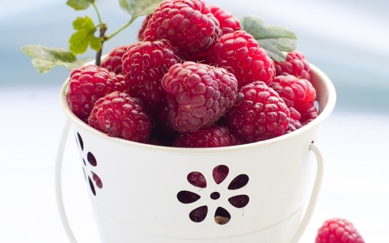 20 Sweet and Tasty Raspberry Treats Your Family will Love!